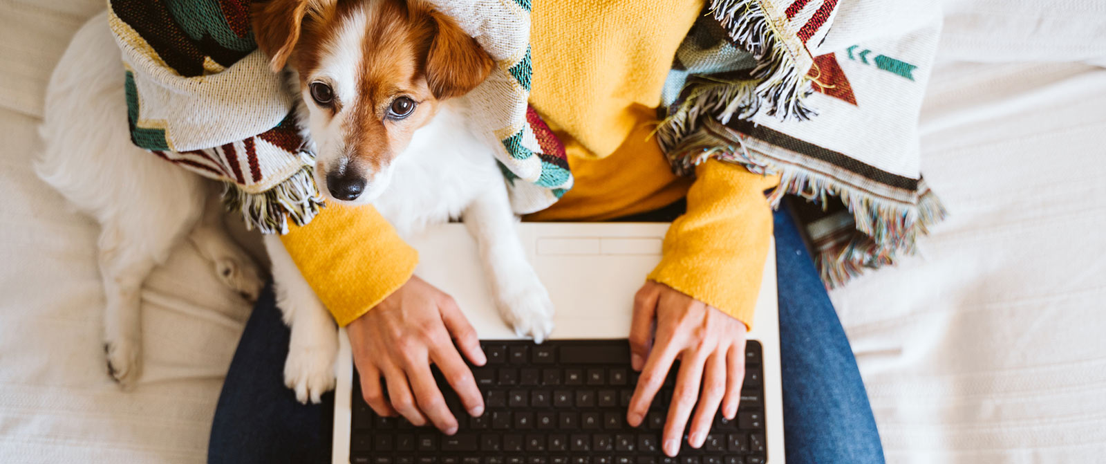 Woman using laptop with dog on lap.